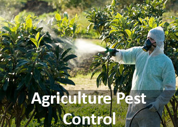 Pest Control for your Gargden